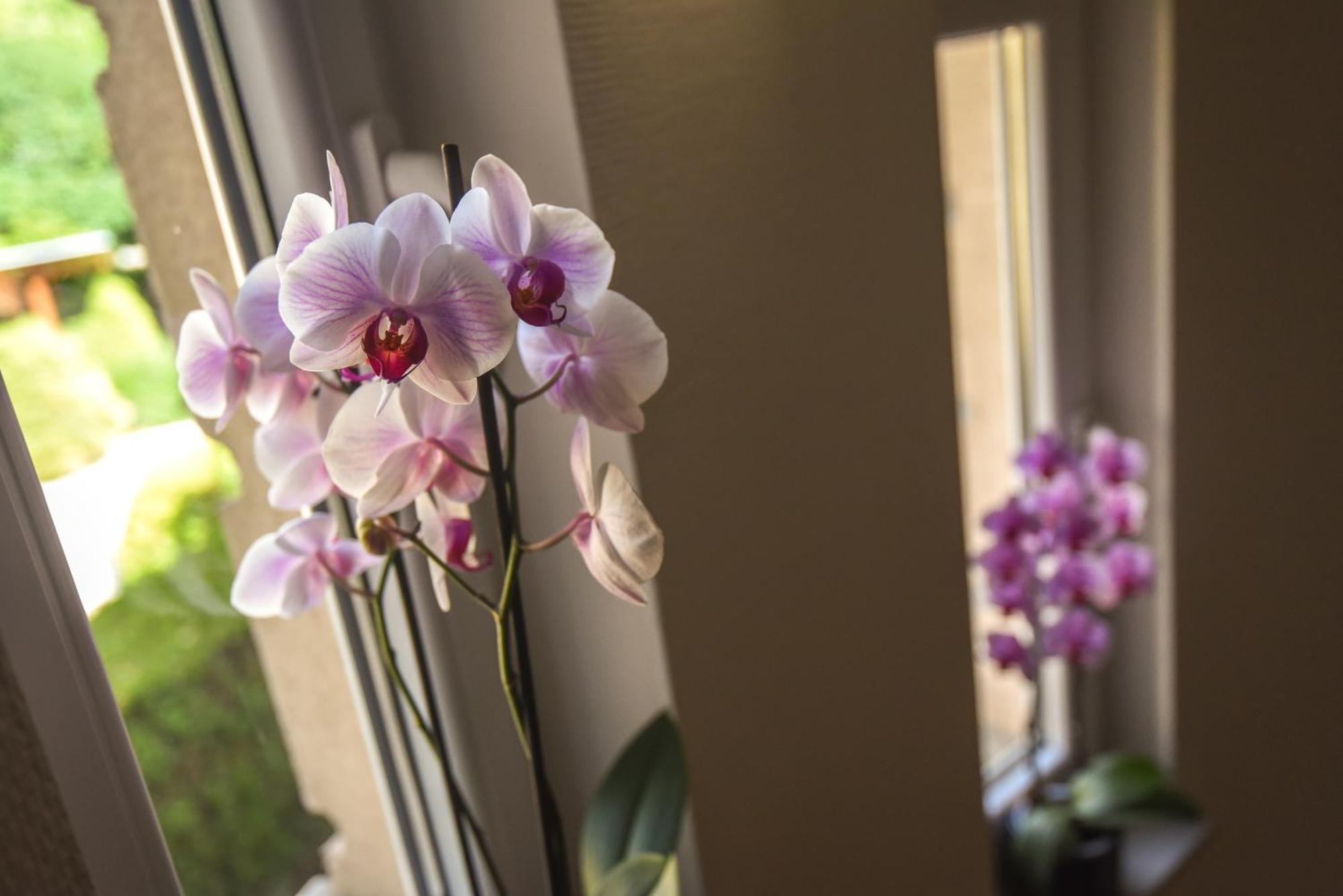 Amore Apartmanhaz Siófok Esterno foto